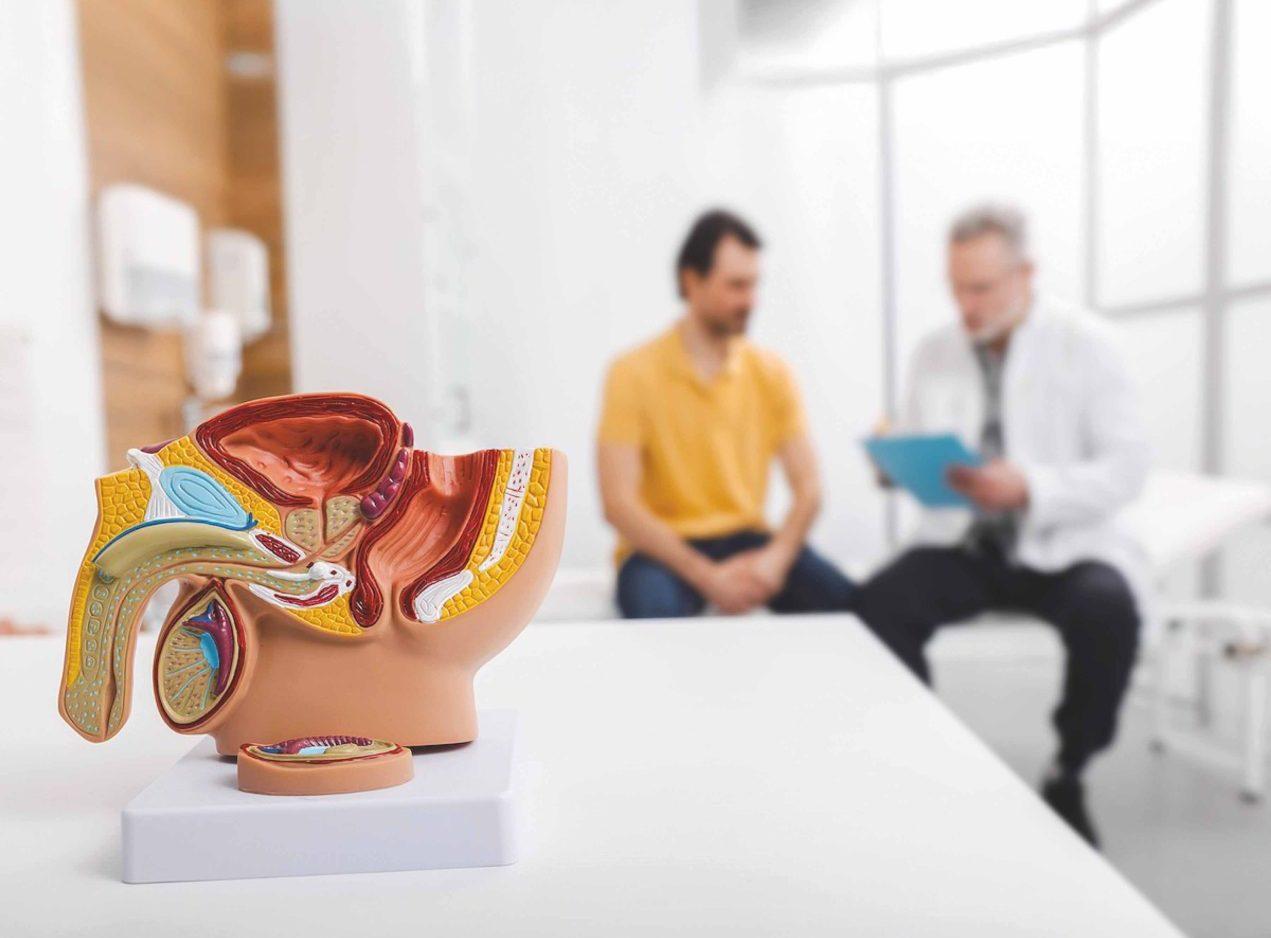 “Urological tests save lives”: experts break taboos and commit to prevention in the field of men's h...