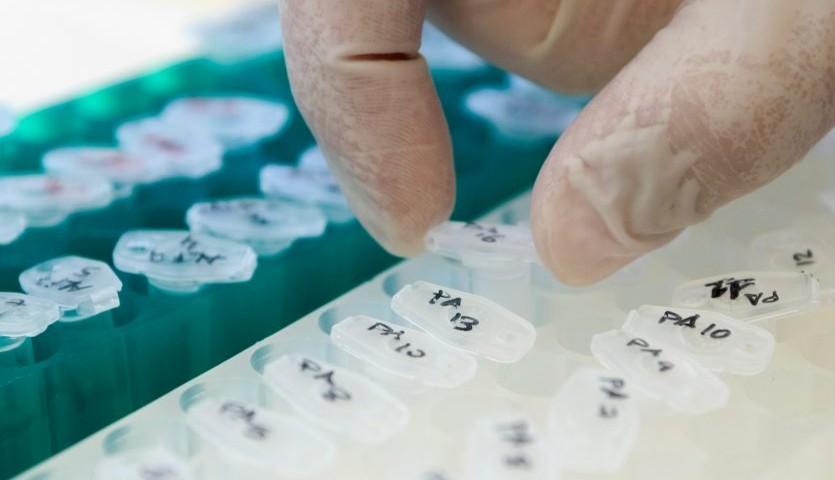 La AEMP aprueba el primer ensayo clínico con evaluación acelerada