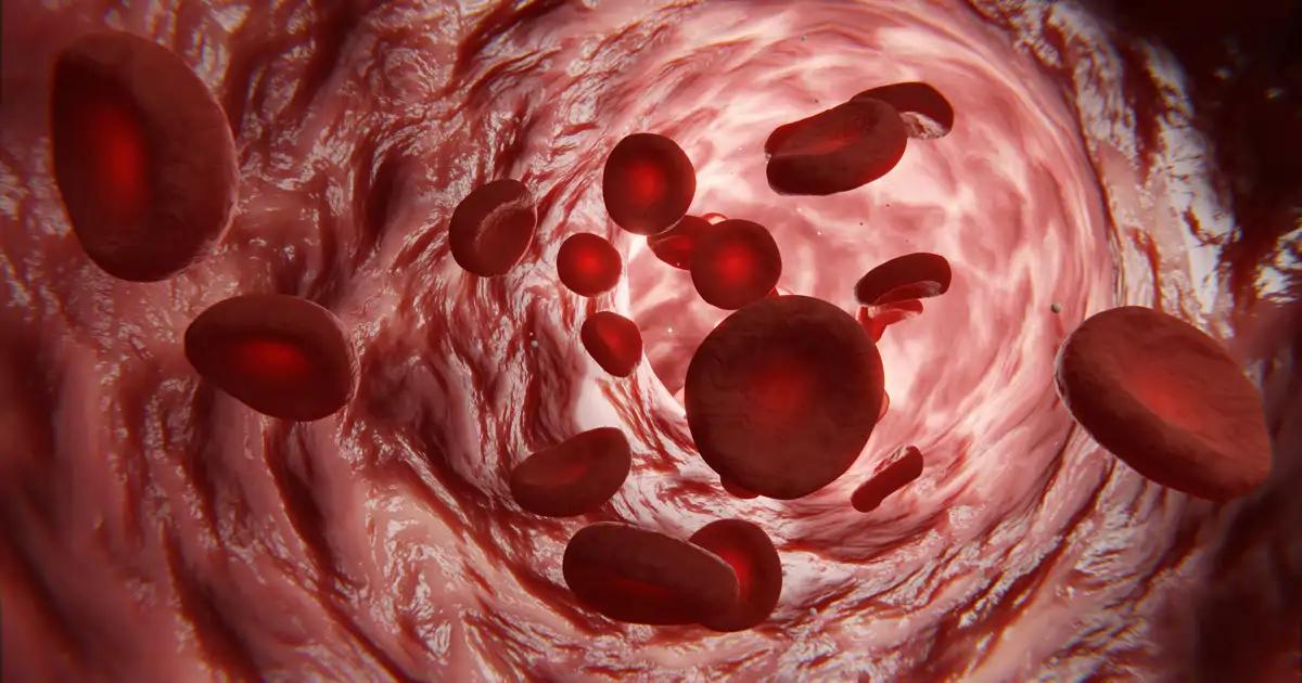 A survey of Barcelona shows how the blood begins to grow older.