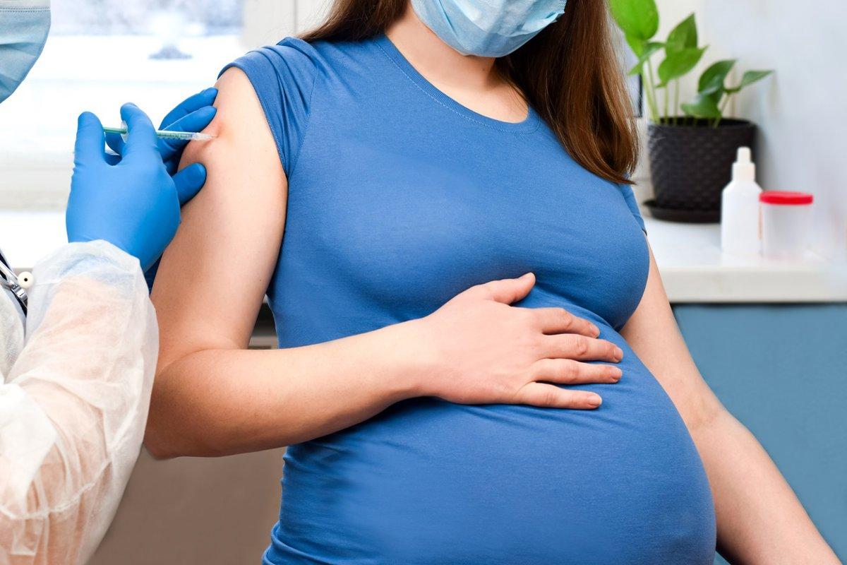 The stomach of the Codeviders reduces the risks and signs of pregnancy pregnancy have become infected with the virus